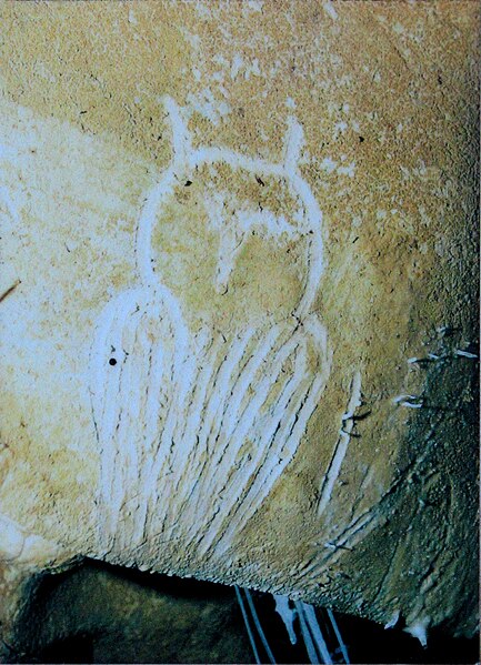 File:Owl engraving, Chauvet Cave (museum replica).jpg