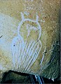 Owl engraving, Chauvet Cave (museum replica).jpg