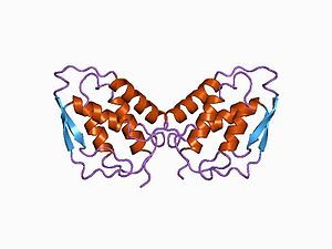 PDB 1csg EBI.jpg