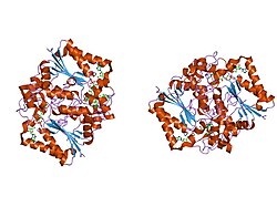 PDB 1dxo EBI.jpg