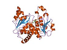 PDB 1ml4 EBI.jpg