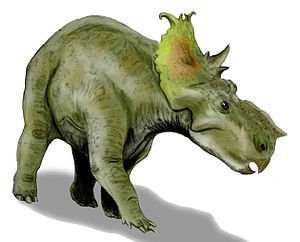 Lebendrekonstruktion von Pachyrhinosaurus