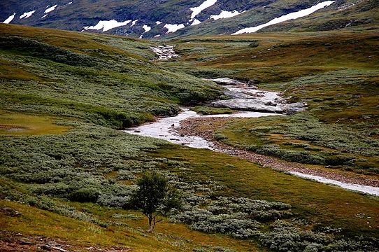 Tundra. Национальный парк Падьеланта. Тундра природная зона. Субарктическая тундра ландшафт. Тундра Швеции.