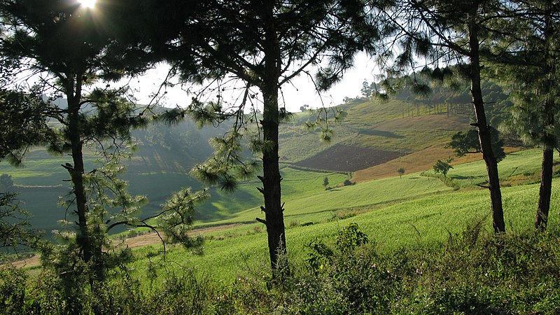 File:Pangetkon, Shan Hills, Myanmar, Green meadows through the trees.jpg