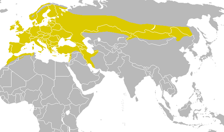 Parus major distribution map.png