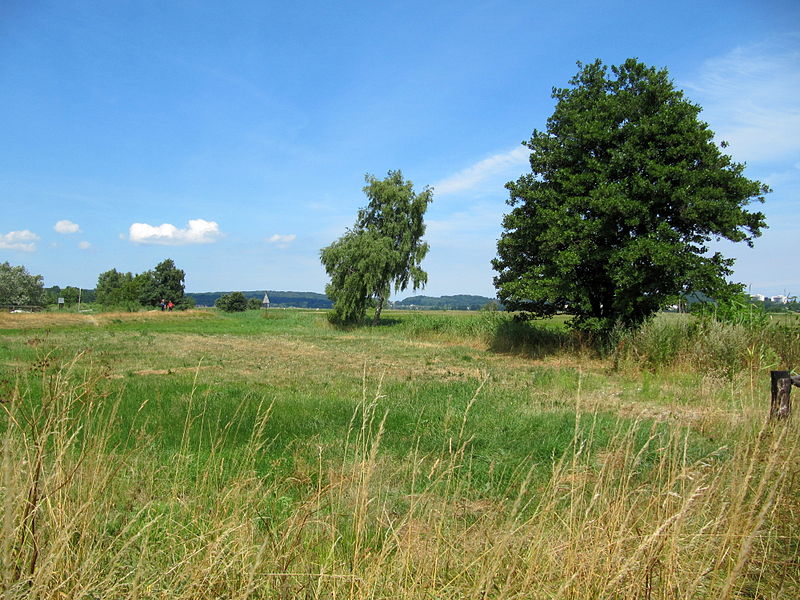 File:Paysage du MVP.JPG