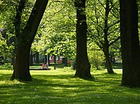 Whitworth Park things to do in Macclesfield