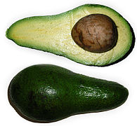 Avocado (Persea americana)