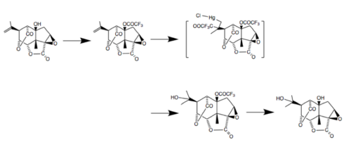 Die Synthese von Picrotin aus Picrotoxinin