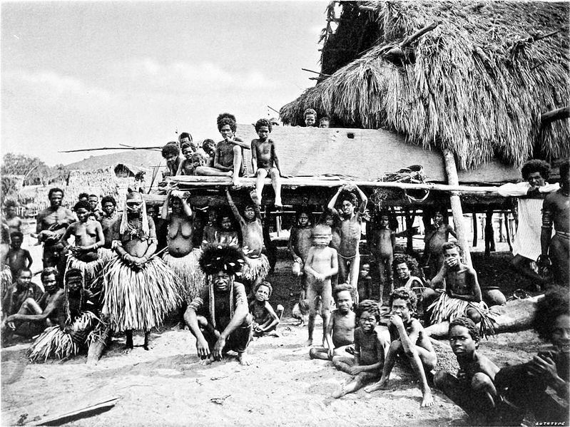 File:Picturesque New Guinea Plate XXVI - Group of Natives at Kapa Kapa.jpg