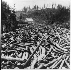 Image 7Logging pine c. 1860s–1870s (from History of Minnesota)