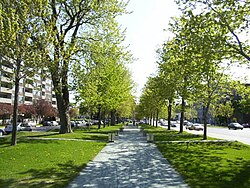 a long straight walk down the middle of a narrow park is bordered on both sides by trees and roads. At intervals along each side of the path, are series of waist-high boxes