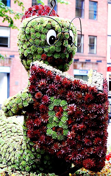 File:Plant bookworm in Manchester (side view).jpg