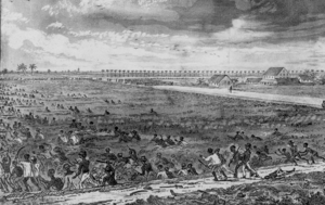 Demerara Rebellion Of 1823