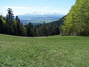 Tatry widziane z przełęczy