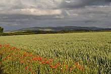 Countryside on the coastal path