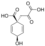 A Prephenic acid cikk illusztráló képe