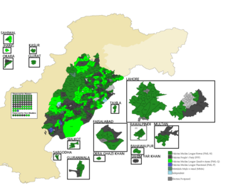 <span class="mw-page-title-main">2008 Punjab provincial election</span> Election in Pakistan