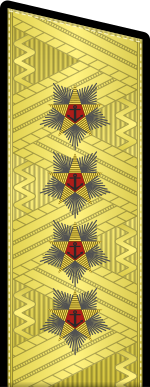 Rank insignia