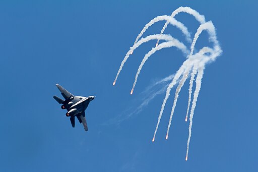 RIAS 2014 Polish MiG-29 01