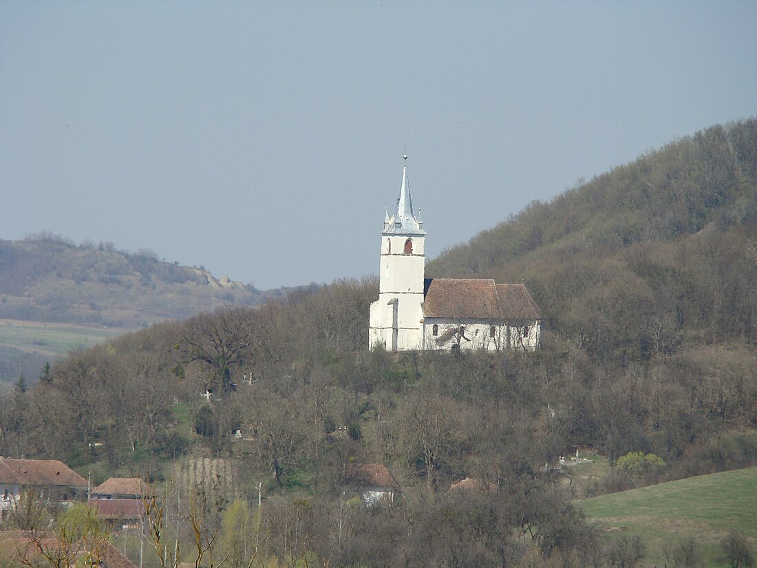 Bâra (okręg Marusza)