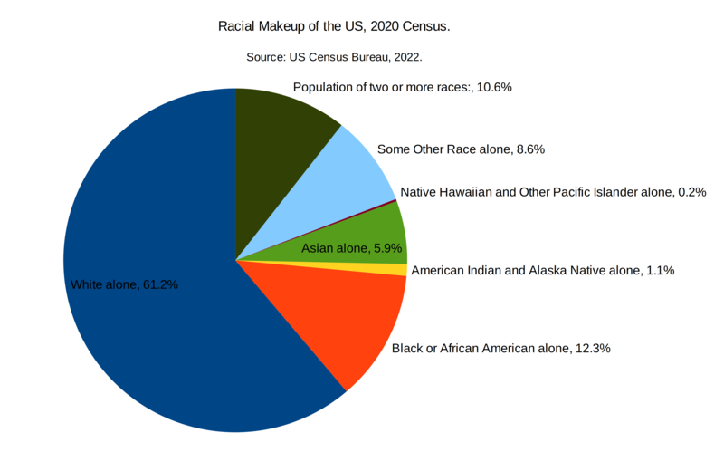 Racial makeup of the US 2020.png