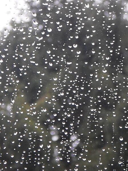 File:Raindrops in Germany (Regentropfen Marburg Rosenmontag) weather 2016-02-08.JPG