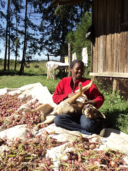 File:Relaxing after carrying onions.JPG