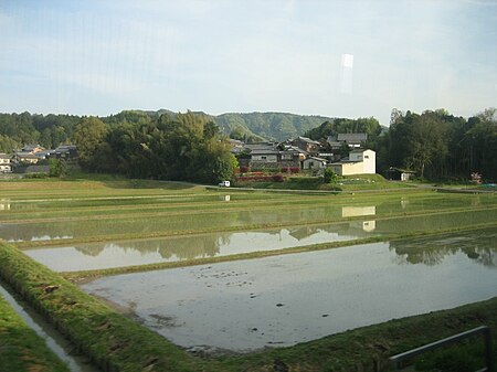 Tập_tin:RicePaddyJapan1.jpg