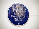 Robert Fortune (5491648269) .jpg