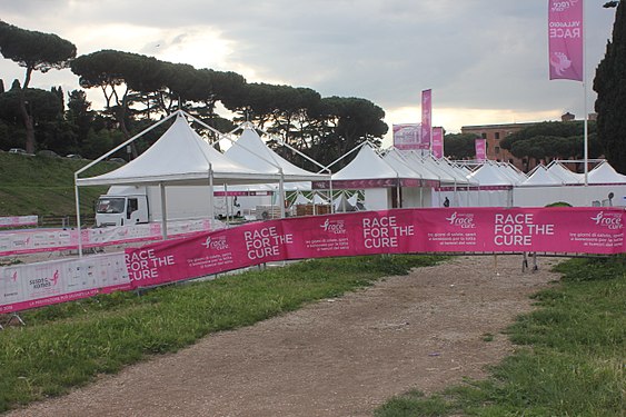 Roma Race for the Cure in circus maximus