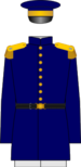 Royal Navy greatcoats uniforms OF-7 - Rear admiral (1827-1833).png