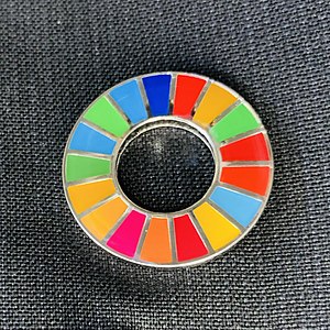 Sustainable Development Goals in Ghana SDGs pin badge.jpg