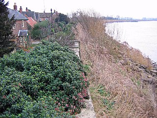 <span class="mw-page-title-main">Saltmarshe</span> Hamlet in the East Riding of Yorkshire, England