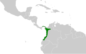 Distribución geográfica del sapayoa.