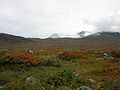 Mange mener at slutningen af august og de første uger i september er den bedste tid for vandreture i Sarek