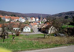 Skyline of Schorbach