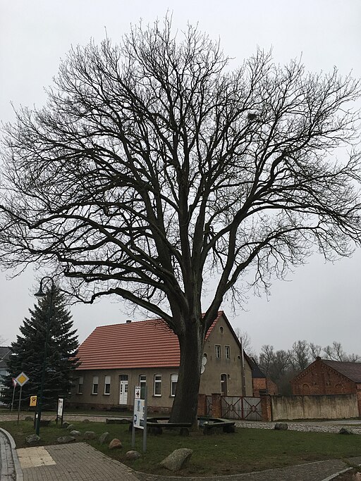 Schweinrich Dorfplatz