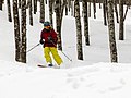 Skiier Rangeley Maine.jpg