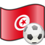 Miniatura per Futbol a Tunísia