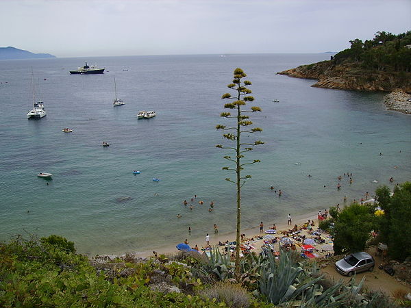 Cannelle Beach