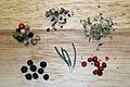 * Nomination: Whole and ground mixed pepper corns, dry thyme, red peppercorns, rosemary and black pepper pictured on a wooden chopping board.--Prosthetic Head 17:08, 29 November 2018 (UTC) * * Review needed