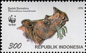 Stamp of Indonesia - 1996 - Colnect 253507 - Sumatran Rhinoceros Dicerorhinus sumatrensis.jpeg