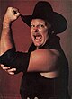 Stan Hansen