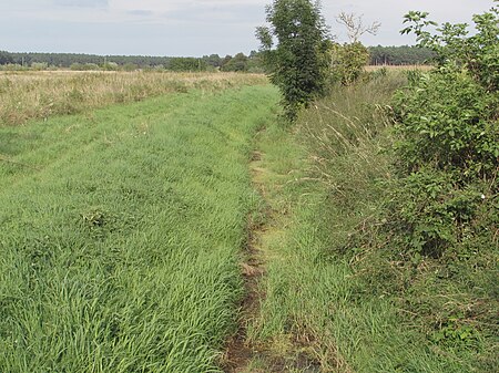 Steinbachkarowerplatte