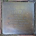 Stolperstein für Mini Levie