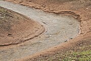 English: A small stream eroding its banks after being artificially de-routed, forming a pronounced cut bank Deutsch: Ein Bach erodiert nach Umleitung sein Bett und formt einen ausgeprägten Prallhang