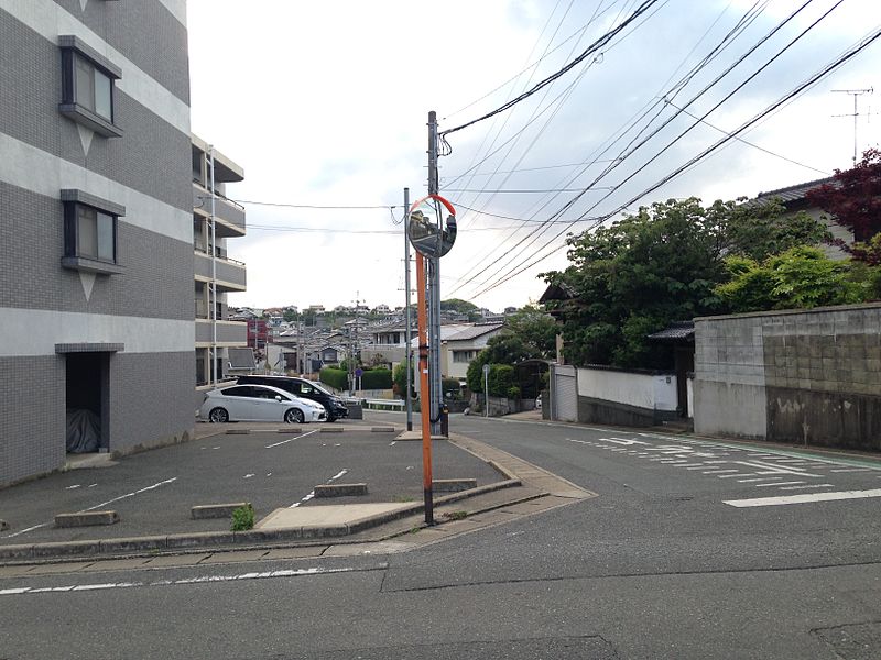 File:Street view near Kashii-Kaenmae Station 20140429.JPG