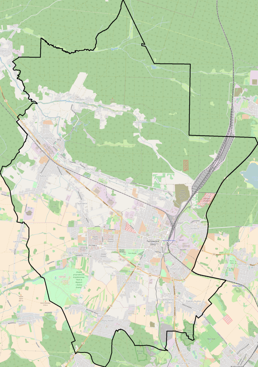 Mapa konturowa Tarnowskich Gór