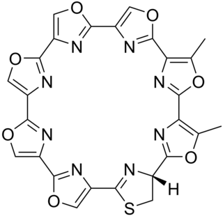 Telomestatin Chemical compound